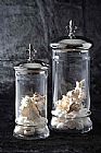 Glass storage Jar Series